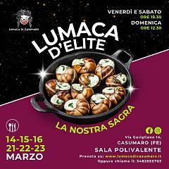 Lumaca d'elite